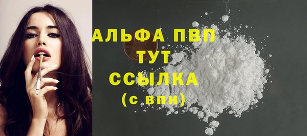 твердый Абаза