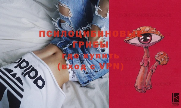 шишки Алексеевка