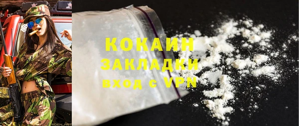 шишки Алексеевка