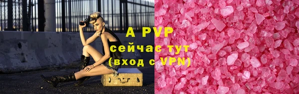 твердый Абаза