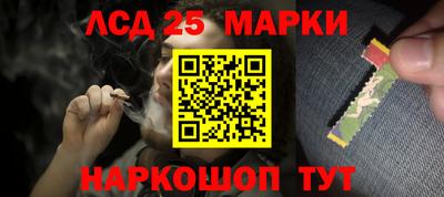гидра Новозыбков