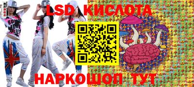 гашик Новодвинск