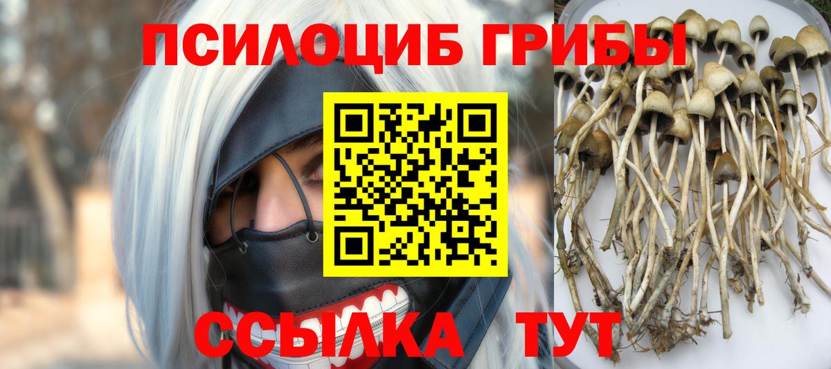 Скопин  Галлюциногенные грибы Psilocybine cubensis  Вход с VPN  Галлюциногенные грибы MAGIC MUSHROOMS 